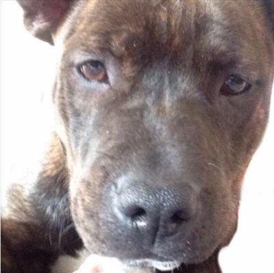 Screen Shot 2016 07 31 at 10 41 32 PM